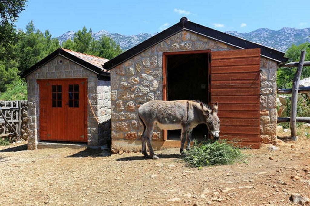 Stone House Magarac Apartment Seline Exterior photo